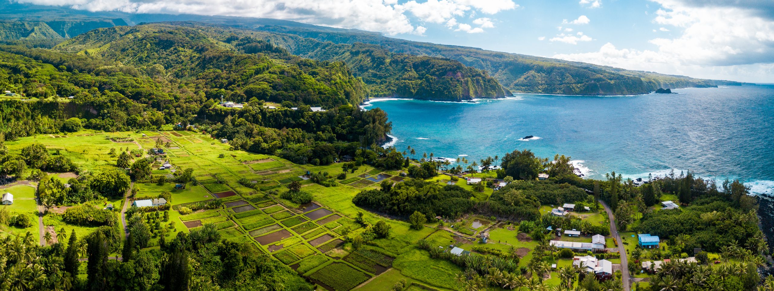 Hawaii agriculture land near the ocean on the way to Hana, Maui